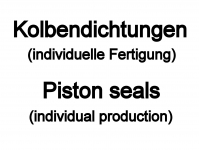 KOLBENDICHTUNGEN (individuell)