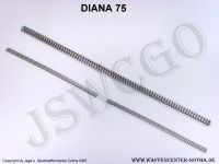 Druckfedersatz-Kolbenfedersatz (3-teilig komplett) DIANA 75