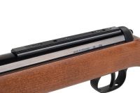 DIANA 34 Classic T06 -F- Luftgewehr Kaliber 5,5mm (freie Ausführung bis 7,5 Joule)