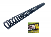 >TitanXS Power-Kolbenfeder (Export-Stark über 7,5 Joule)< DIANA 45