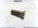 >Senkschraube-Dichtungsschraube< DIANA 50