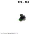 Visierhalteschraube TELL 100