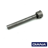 >Federführung (komplett)< DIANA 15