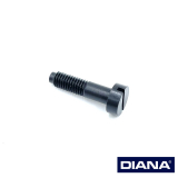 >Zylinderschraube - Schaftschraube< DIANA 30