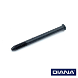 >Linsensenkschraube mit Zapfen< DIANA 5