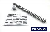 >Schraubenfeder - Kolbenfeder SET mit Federfett + Zerleganleitung (Export - Stark max. 16 Joule)< DIANA 460 Magnum