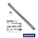 >Schraubenfeder - Kolbenfeder SET mit Federfett + Zerleganleitung (Export - Stark max. 16 Joule)< DIANA 460 Magnum