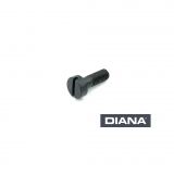 >Zylinderschraube< DIANA 30