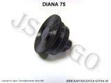 >Achsenschraube< DIANA 75