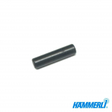 >Haltebolzen (Spannhebel)< HÄMMERLI Hunter Force 900
