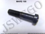 Schaftschraube - Systemhalteschraube MARS 100