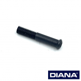 >Linsensenkschraube< DIANA 35