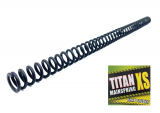 TitanXS Power-Kolbenfeder No.6