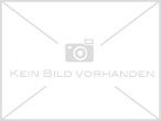 Schraubenfeder - Kolbenfeder (Standardausführung -F- unter 7,5 Joule)  DIANA 45T01